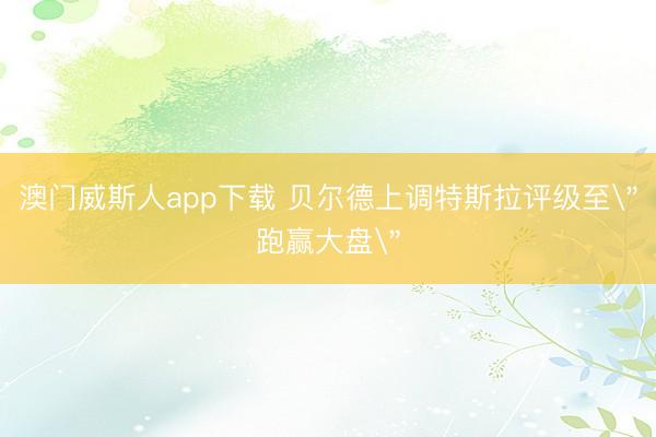 澳门威斯人app下载 贝尔德上调特斯拉评级至