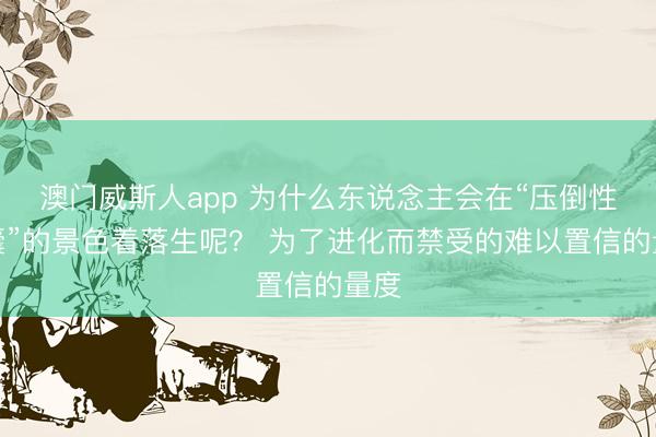 澳门威斯人app 为什么东说念主会在“压倒性窝囊”的景色着落生呢? 为了进化而禁受的难以置信的量度