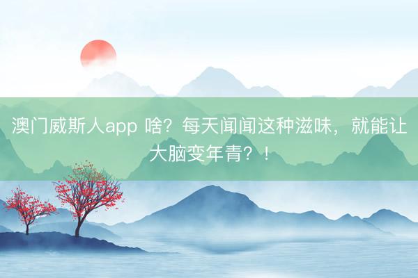 澳门威斯人app 啥?每天闻闻这种滋味,就能让大脑变年青?!