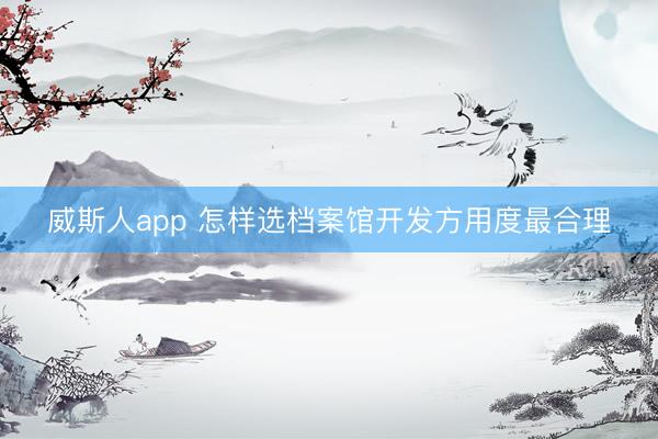 威斯人app 怎样选档案馆开发方用度最合理