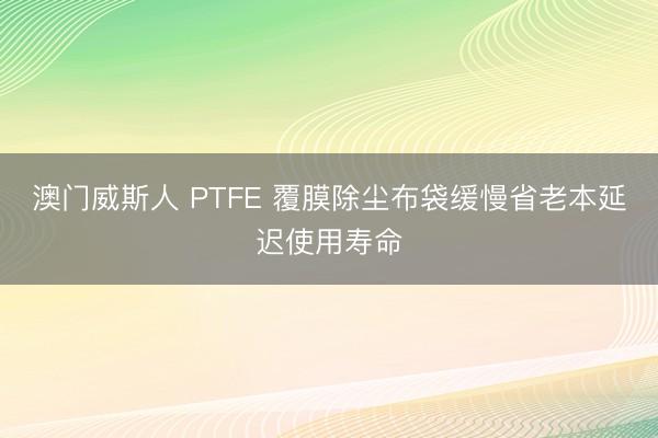 澳门威斯人 PTFE 覆膜除尘布袋缓慢省老本延迟使用寿命