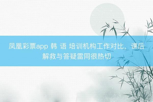 凤凰彩票app 韩 语 培训机构工作对比，课后解救与答疑雷同很热切