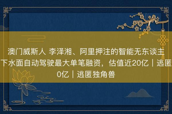 澳门威斯人 李泽湘、阿里押注的智能无东谈主艇，拿下水面自动驾驶最大单笔融资，估值近20亿｜逃匿独角兽