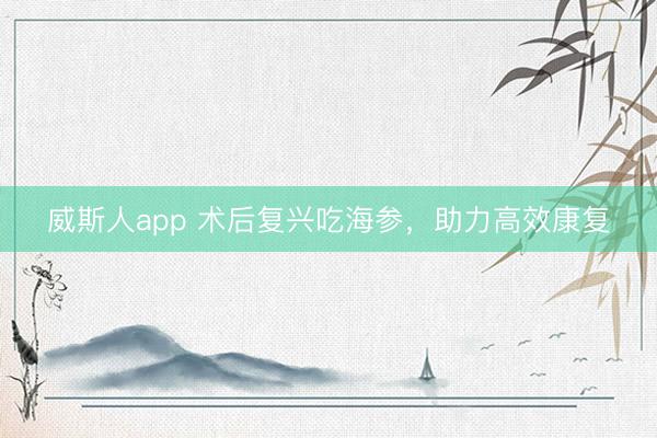 威斯人app 术后复兴吃海参，助力高效康复