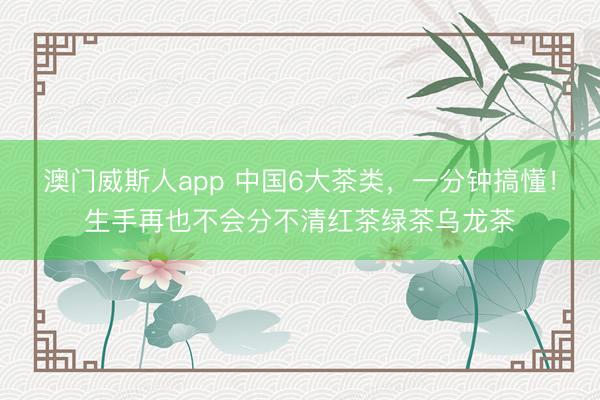 澳门威斯人app 中国6大茶类，一分钟搞懂！生手再也不会分不清红茶绿茶乌龙茶