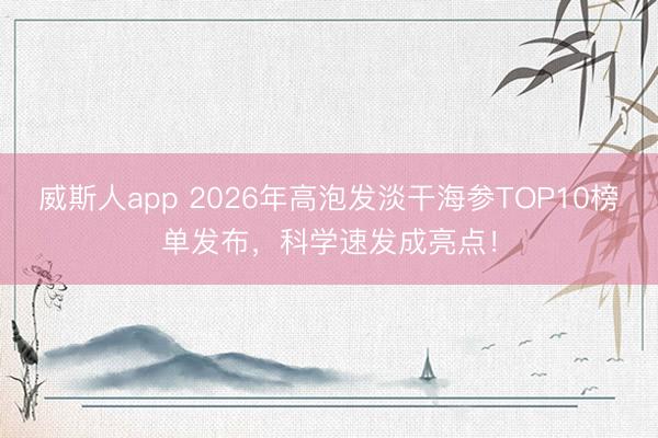 威斯人app 2026年高泡发淡干海参TOP10榜单发布，科学速发成亮点！