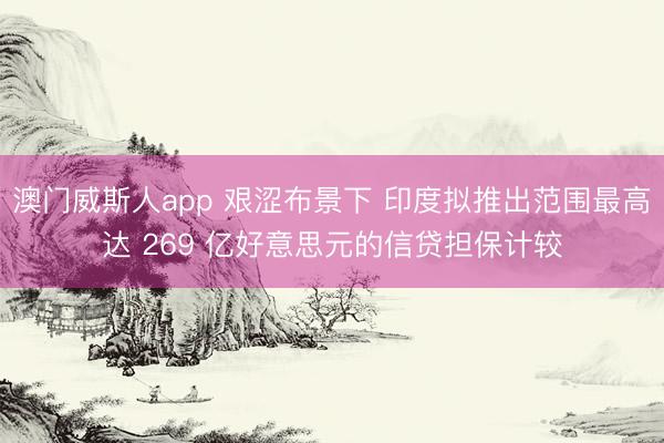 澳门威斯人app 艰涩布景下 印度拟推出范围最高达 269 亿好意思元的信贷担保计较