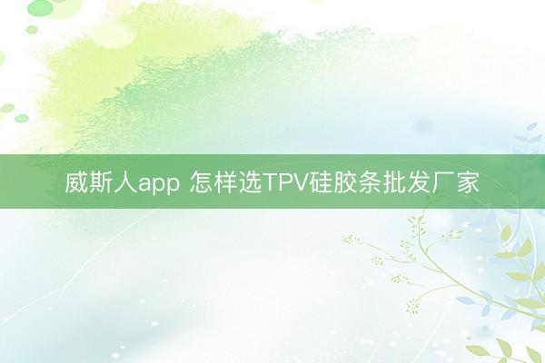 威斯人app 怎样选TPV硅胶条批发厂家