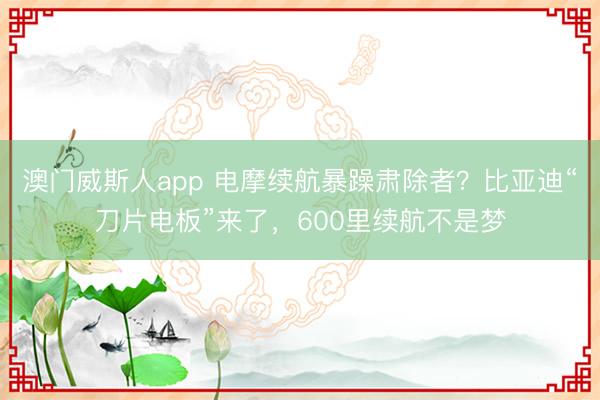 澳门威斯人app 电摩续航暴躁肃除者？比亚迪“刀片电板”来了，600里续航不是梦