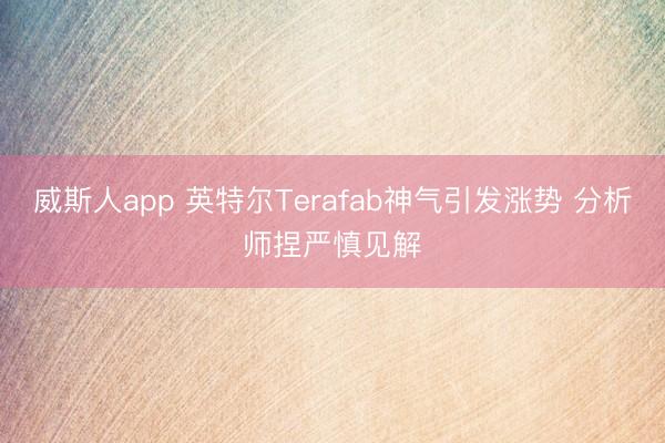 威斯人app 英特尔Terafab神气引发涨势 分析师捏严慎见解