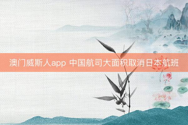 澳门威斯人app 中国航司大面积取消日本航班