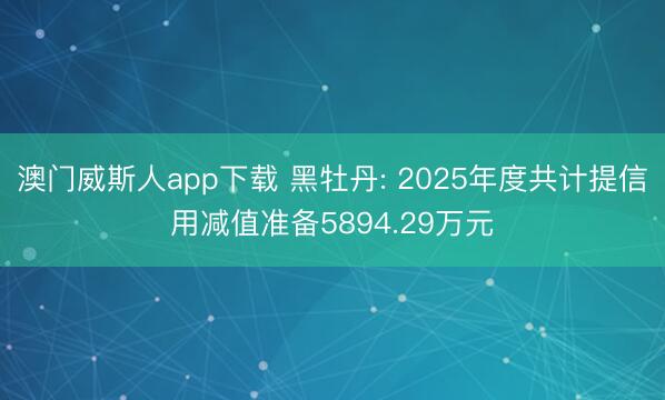 澳门威斯人app下载 黑牡丹: 2025年度共计提信用减值准备5894.29万元