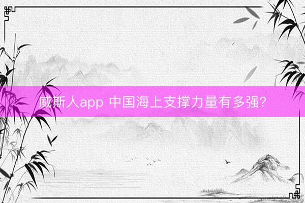 威斯人app 中国海上支撑力量有多强?