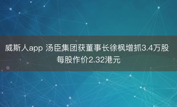 威斯人app 汤臣集团获董事长徐枫增抓3.4万股 每股作价2.32港元