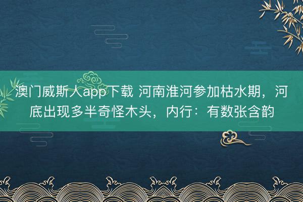 澳门威斯人app下载 河南淮河参加枯水期，河底出现多半奇怪木头，内行：有数张含韵