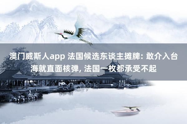 澳门威斯人app 法国候选东谈主摊牌: 敢介入台海就直面核弹， 法国一枚都承受不起
