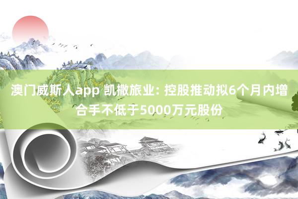 澳门威斯人app 凯撒旅业: 控股推动拟6个月内增合手不低于5000万元股份