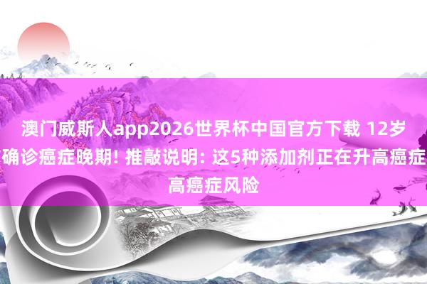澳门威斯人app2026世界杯中国官方下载 12岁男孩确诊癌症晚期! 推敲说明: 这5种添加剂正在升高癌症风险