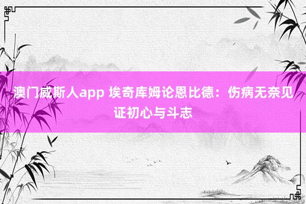 澳门威斯人app 埃奇库姆论恩比德：伤病无奈见证初心与斗志