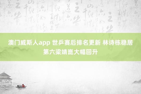 澳门威斯人app 世乒赛后排名更新 林诗栋稳居第六梁靖崑大幅回升