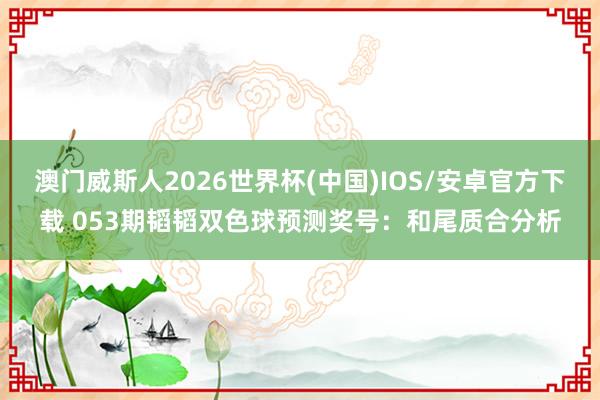 澳门威斯人2026世界杯(中国)IOS/安卓官方下载 053期韬韬双色球预测奖号:和尾质合分析