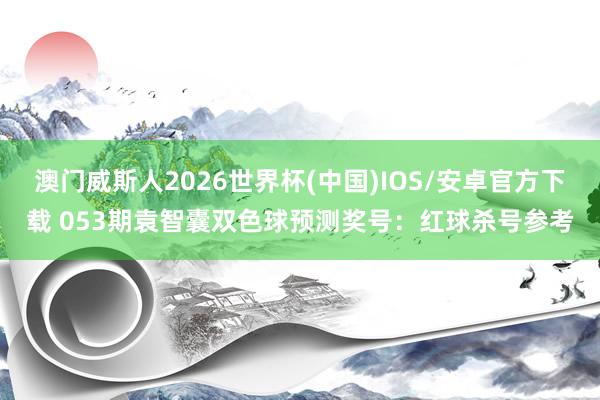 澳门威斯人2026世界杯(中国)IOS/安卓官方下载 053期袁智囊双色球预测奖号：红球杀号参考