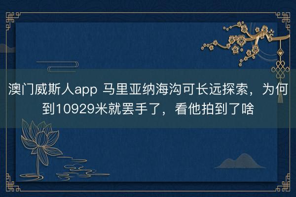 澳门威斯人app 马里亚纳海沟可长远探索，为何到10929米就罢手了，看他拍到了啥