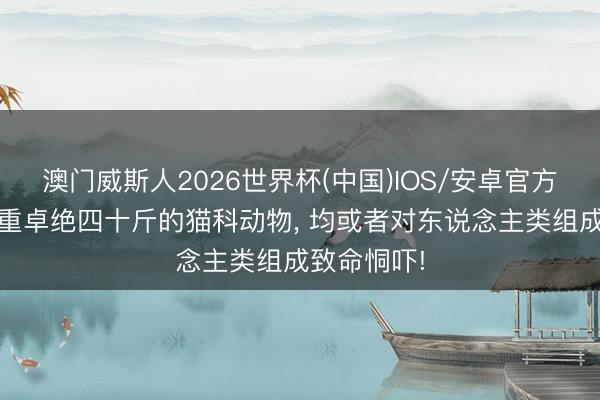澳门威斯人2026世界杯(中国)IOS/安卓官方下载 凡体重卓绝四十斤的猫科动物, 均或者对东说念主类组成致命恫吓!