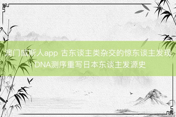 澳门威斯人app 古东谈主类杂交的惊东谈主发现: DNA测序重写日本东谈主发源史
