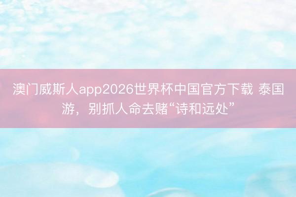 澳门威斯人app2026世界杯中国官方下载 泰国游，别抓人命去赌“诗和远处”