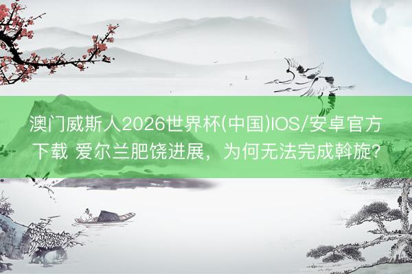澳门威斯人2026世界杯(中国)IOS/安卓官方下载 爱尔兰肥饶进展，为何无法完成斡旋？