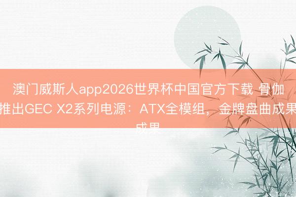 澳门威斯人app2026世界杯中国官方下载 骨伽推出GEC X2系列电源：ATX全模组，金牌盘曲成果