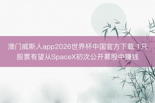澳门威斯人app2026世界杯中国官方下载 1只股票有望从SpaceX初次公开募股中赚钱
