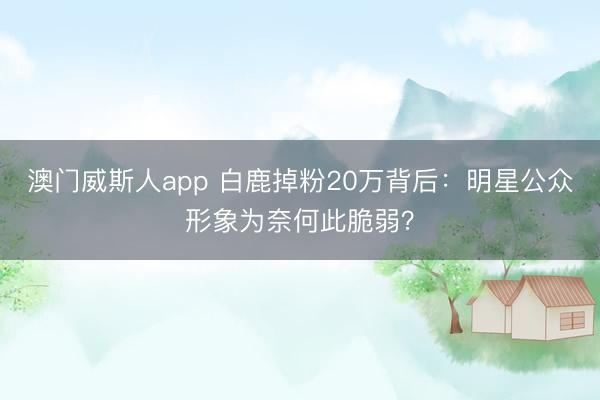 澳门威斯人app 白鹿掉粉20万背后：明星公众形象为奈何此脆弱？