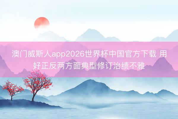 澳门威斯人app2026世界杯中国官方下载 用好正反两方面典型修订治绩不雅