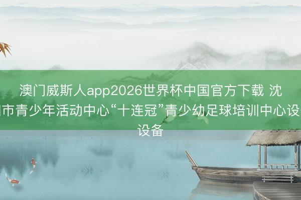 澳门威斯人app2026世界杯中国官方下载 沈阳市青少年活动中心“十连冠”青少幼足球培训中心设备