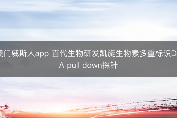 澳门威斯人app 百代生物研发凯旋生物素多重标识DNA pull down探针